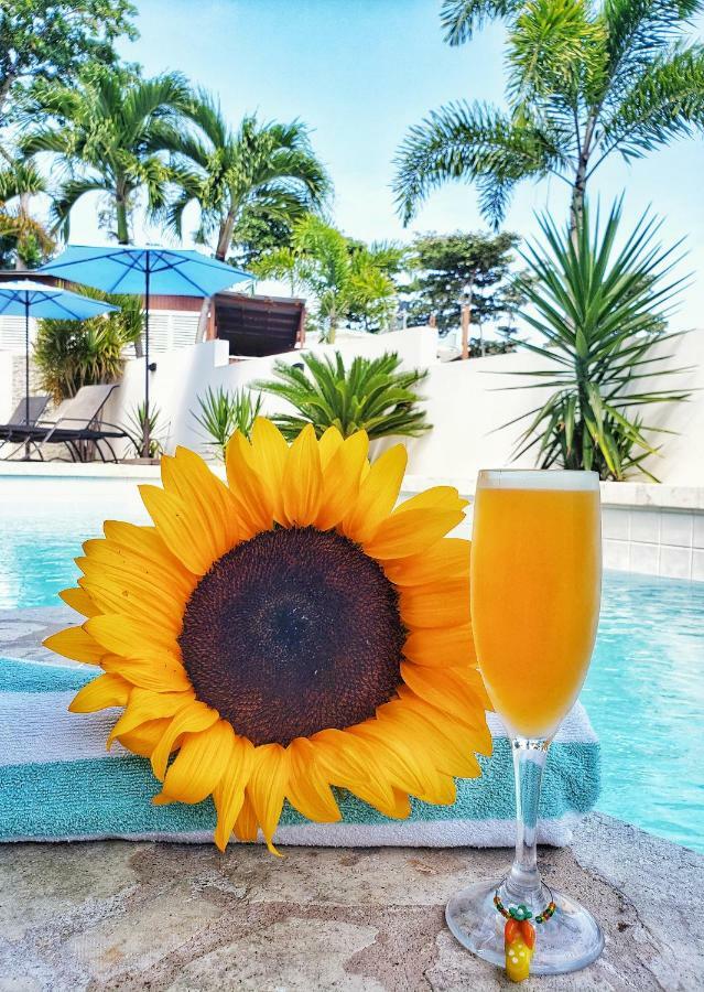Casa Verde Hotel Rincon Kültér fotó